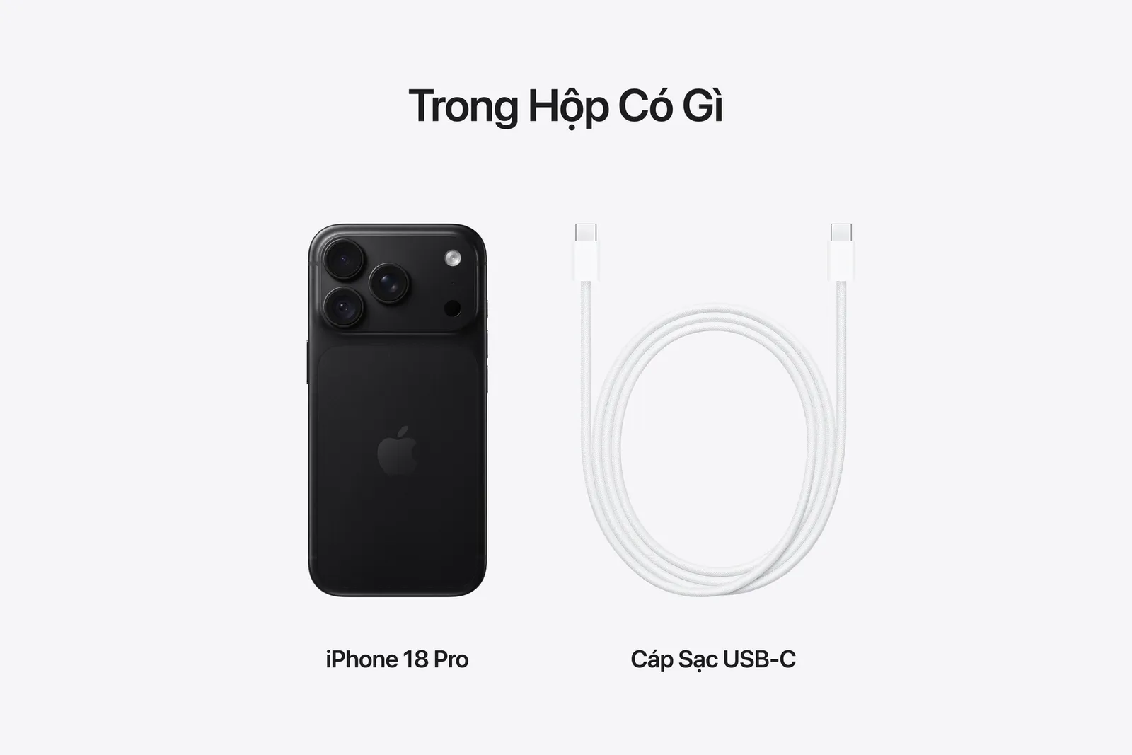 iPhone 18 Pro màu Đen và cáp sạc USB-C trong hộp
